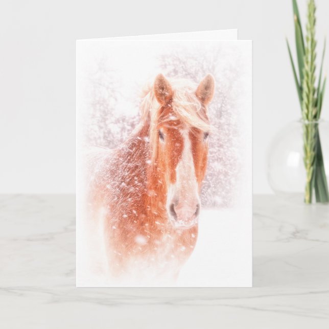 Cartes Pour Fêtes Annuelles Blizzard Belgique (Devant)