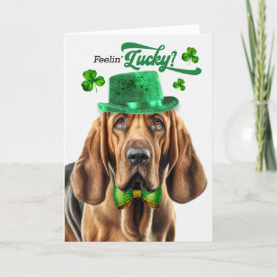 Cartes Pour Fêtes Annuelles Bloodhound Chien Lucky St Patrick's Day