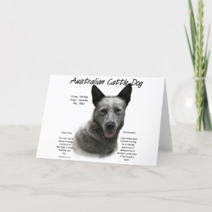 Cartes Pour Fêtes Annuelles Blue Australian Cattle Chig History; Blue ACD