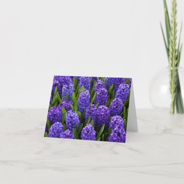 Cartes Pour Fêtes Annuelles Blue Hyacinth (Devant)