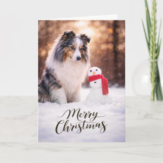 Cartes Pour Fêtes Annuelles Blue Merle Sheltie Christmas Snowman