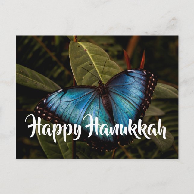 Cartes Pour Fêtes Annuelles Blue Morpho, Bonne Hanoukka (Devant)