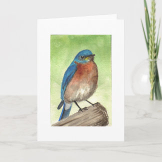 Cartes Pour Fêtes Annuelles Bluebird