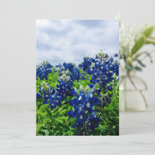 Cartes Pour Fêtes Annuelles Bluebonnets Fleurs Bleues Texas Texan Floral
