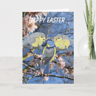 Cartes Pour Fêtes Annuelles Bluetit Mère et Bébés Pâques