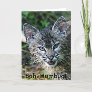 Cartes Pour Fêtes Annuelles BobCat, Bah, Humbug!
