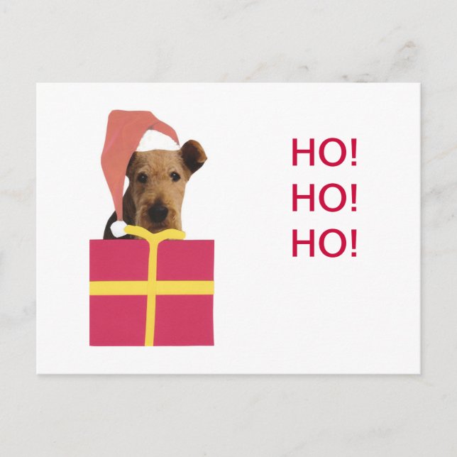 Cartes Pour Fêtes Annuelles Boîte à venin (Devant)