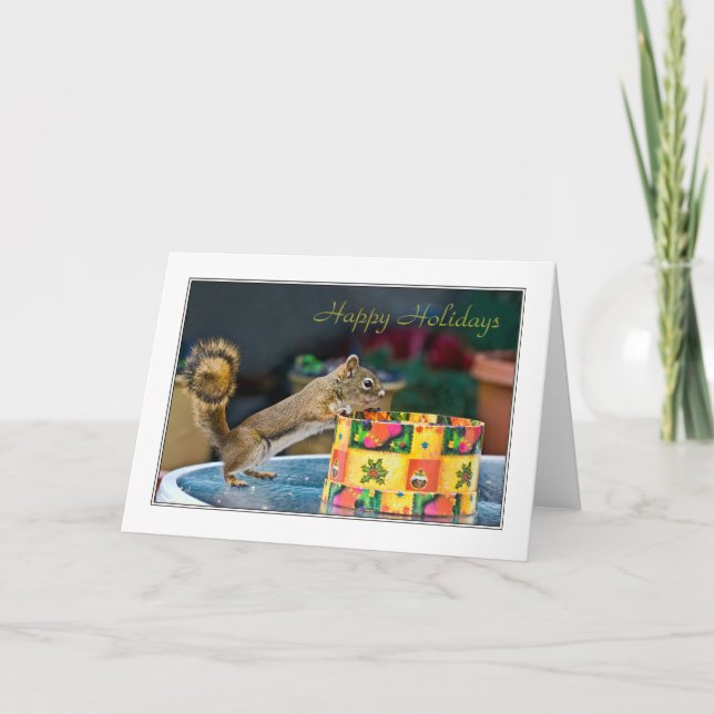 Cartes Pour Fêtes Annuelles Boîte de Noël d'un écureuil (Devant)