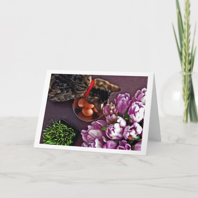 Cartes Pour Fêtes Annuelles Bol d'oeufs. Instantané 4 (Devant)