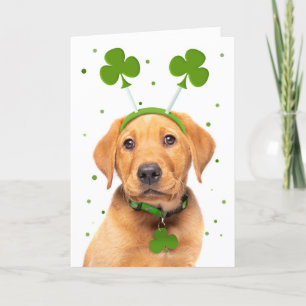 Cartes Pour Fêtes Annuelles Bon Jour de la Saint Patrick pour tous les chiens 