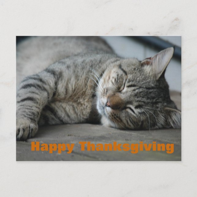 Cartes Pour Fêtes Annuelles bon thanksgiving (Devant)