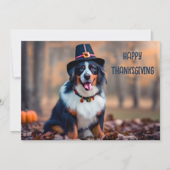 Cartes Pour Fêtes Annuelles Bon thanksgiving bernois pèlerin de chiens de mont (Devant)