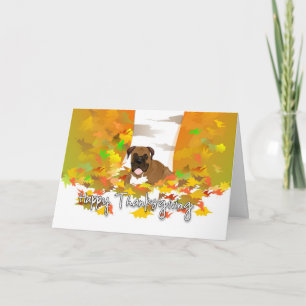 Cartes Pour Fêtes Annuelles bon thanksgiving - Chien de boîte