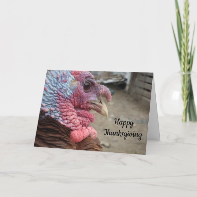 Cartes Pour Fêtes Annuelles Bon thanksgiving, Merci d'être Vegan Holiday (Devant)