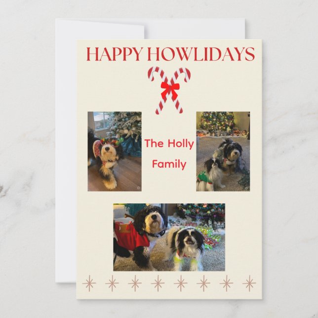 Cartes Pour Fêtes Annuelles Bonbons de Joyeux Howlidays et scintillements (Devant)