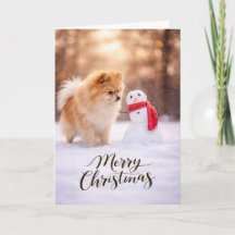 Bonhomme de neige de Noël Poméranien