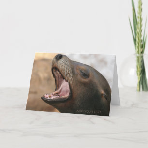 Cartes Pour Fêtes Annuelles Bonjour ! Lion de la mer sauvage