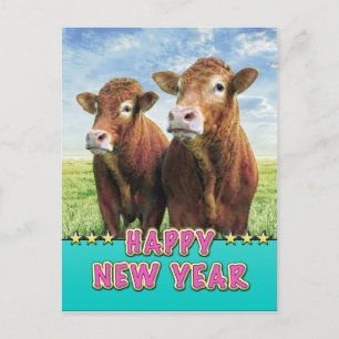 Cartes Pour Fêtes Annuelles BONNE ANNÉE avec les cow-boys