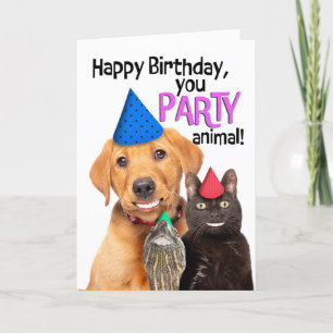 Cartes Pour Fêtes Annuelles Bonne fête d'anniversaire Animal drôle Animaux Ani