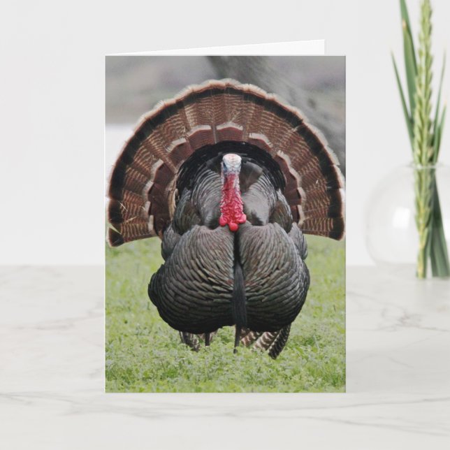 Cartes Pour Fêtes Annuelles Bonne fête de la Turquie ! (Devant)