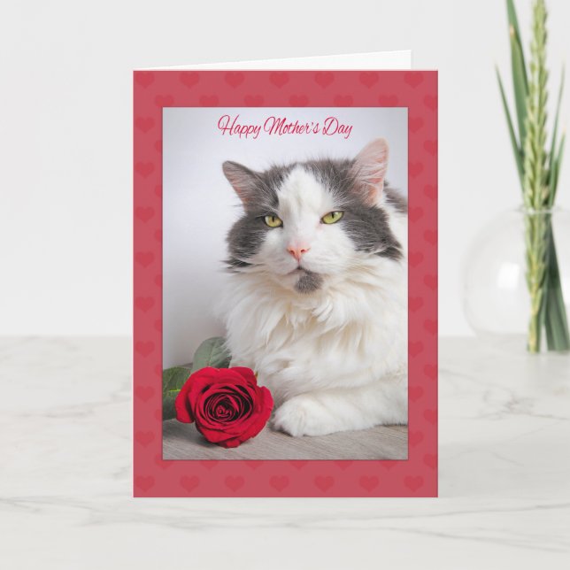 Cartes Pour Fêtes Annuelles Bonne fête des mères du chat Kitty avec Rose (Devant)