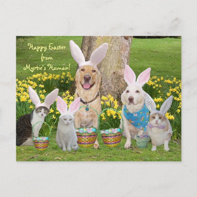 Cartes Pour Fêtes Annuelles Bonne Pâques de l'Humain de Myrtie ! (Devant)