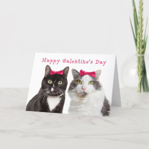 Cartes Pour Fêtes Annuelles Bonne Saint-Galentin mignonne Fille Chats