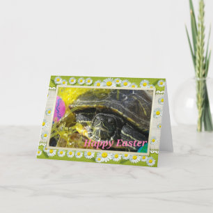 Cartes Pour Fêtes Annuelles Bonne tortue de Pâques