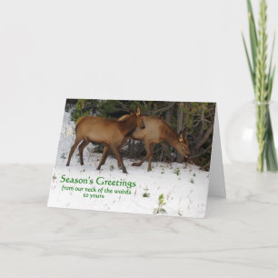 Cartes Pour Fêtes Annuelles Bonnes Fêtes