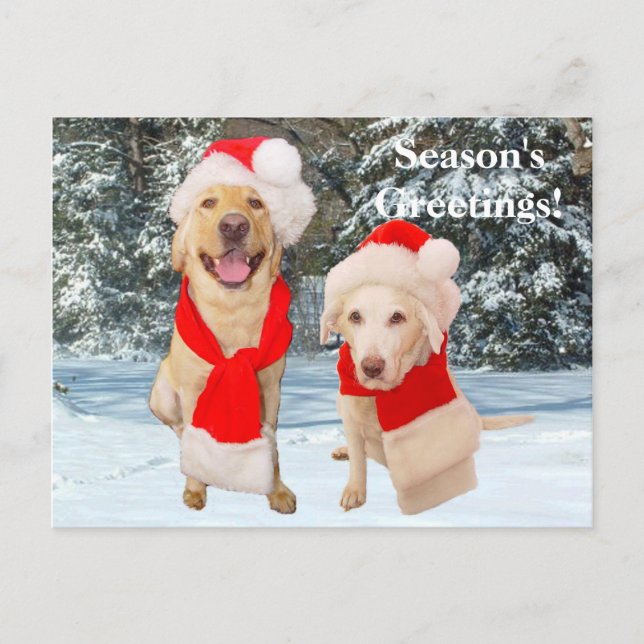 CARTES POUR FÊTES ANNUELLES BONNES FÊTES ! (Devant)