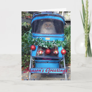 Cartes Pour Fêtes Annuelles Bonnes Fêtes