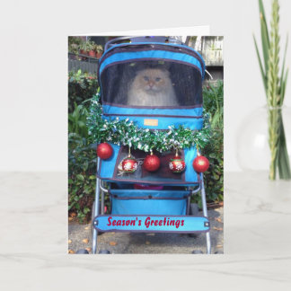 Cartes Pour Fêtes Annuelles Bonnes Fêtes