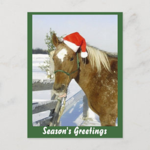 Cartes Pour Fêtes Annuelles Bonnes Fêtes à cheval