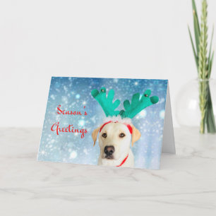 Cartes Pour Fêtes Annuelles Bonnes Fêtes Animal de compagnie Labrador Chien mi
