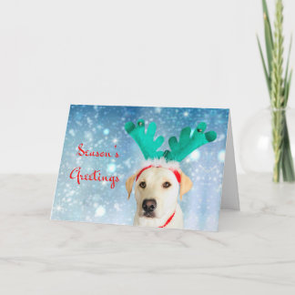 Cartes Pour Fêtes Annuelles Bonnes Fêtes Animal de compagnie Labrador Chien mi
