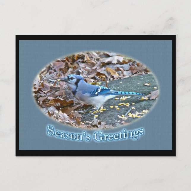 Cartes Pour Fêtes Annuelles Bonnes Fêtes Blue Jay (Devant)