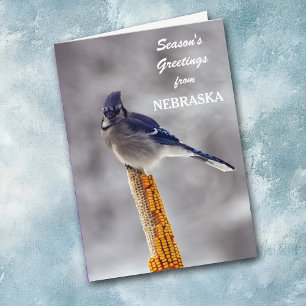 Cartes Pour Fêtes Annuelles Bonnes Fêtes Blue Jay du Nebraska
