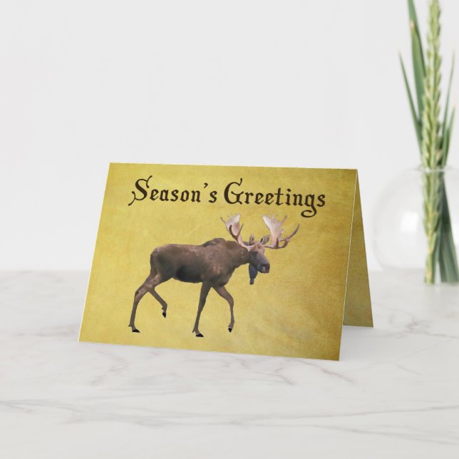 Cartes Pour Fêtes Annuelles Bonnes Fêtes - Bull Moose (Devant)