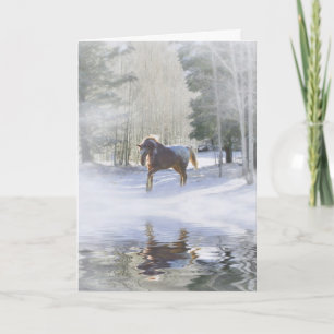 Cartes Pour Fêtes Annuelles Bonnes Fêtes Cheval en Neige
