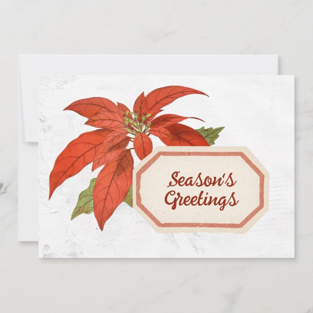 Cartes Pour Fêtes Annuelles Bonnes Fêtes de fleurs Poinsettia rouge de Noël (Devant)