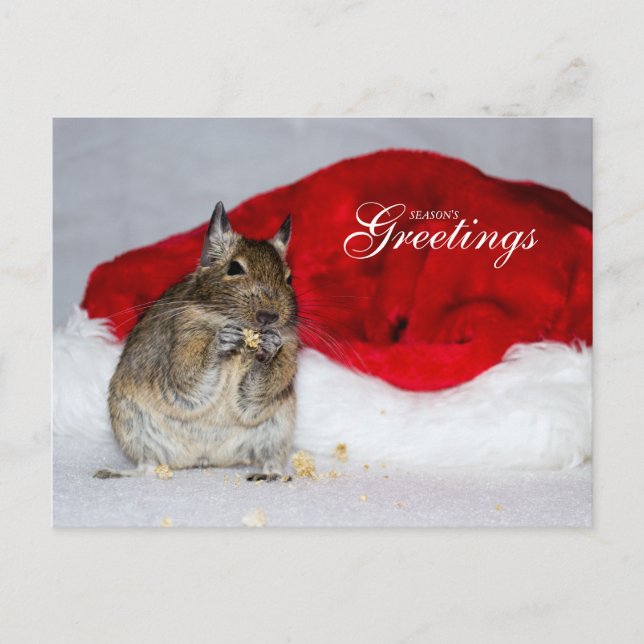 Cartes Pour Fêtes Annuelles Bonnes Fêtes Degu & Santa Hat (Devant)