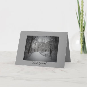 Cartes Pour Fêtes Annuelles Bonnes Fêtes d'hiver élégantes - Central Park