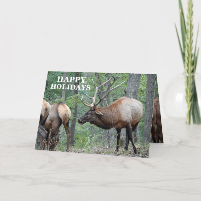 Cartes Pour Fêtes Annuelles Bonnes fêtes élans drôles de Taureau dans (Devant)