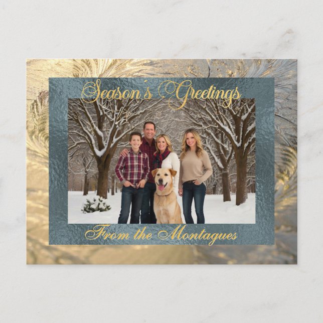 Cartes Pour Fêtes Annuelles Bonnes Fêtes Frontière de givre avec photo (Devant)