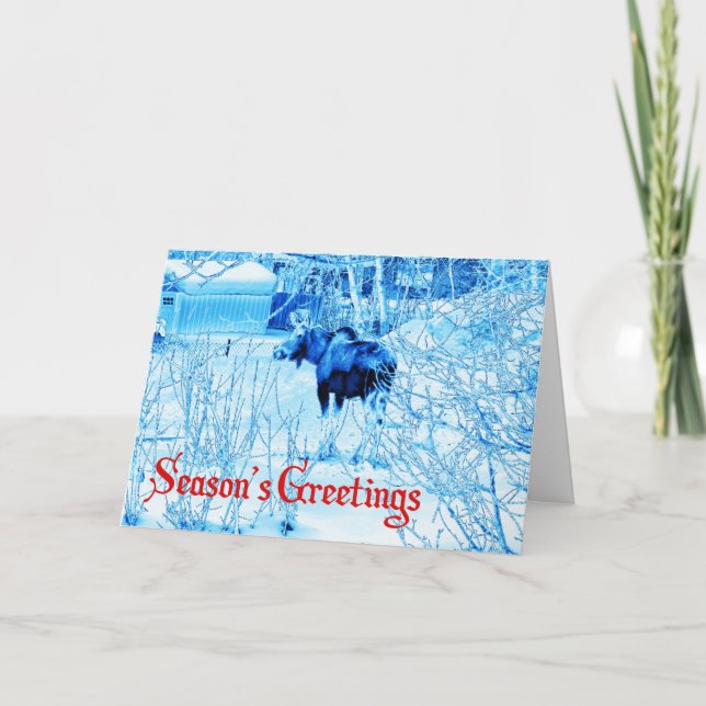 Cartes Pour Fêtes Annuelles Bonnes Fêtes - Oie urbaine (Devant)