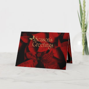 Cartes Pour Fêtes Annuelles Bonnes Fêtes Poinsettia Velvet Rouge