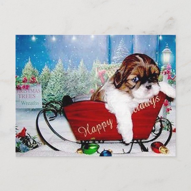 Cartes Pour Fêtes Annuelles Bonnes fêtes Shih Tzu (Devant)