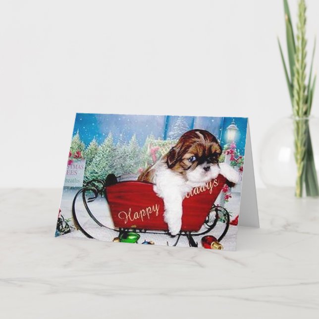 Cartes Pour Fêtes Annuelles Bonnes fêtes Shih Tzu (Devant)