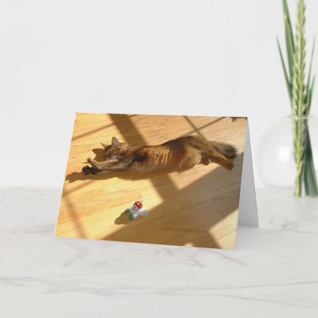 Cartes Pour Fêtes Annuelles Bonnes fêtes, style somalien de chat (Devant)