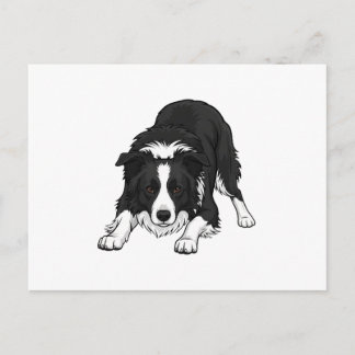 Cartes Pour Fêtes Annuelles Border Collie Dog